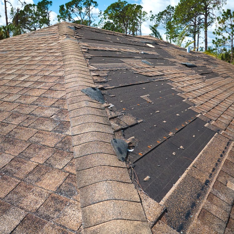 Roofing services in Chattanooga, TN